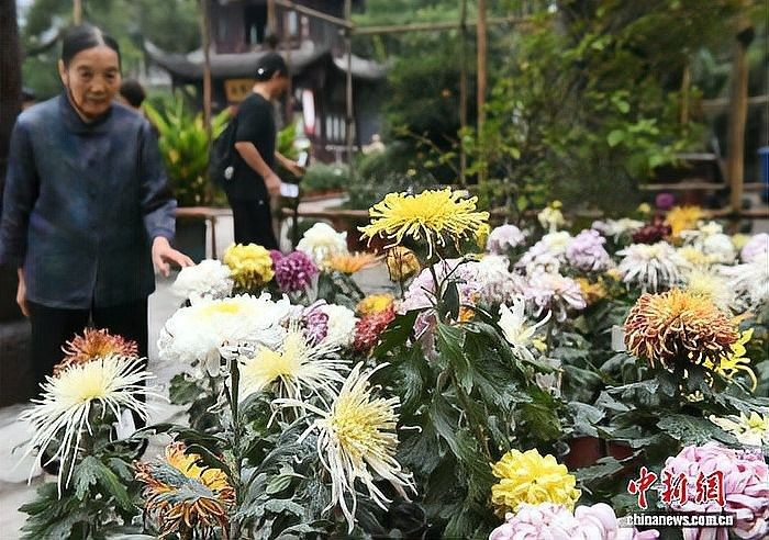 重慶九龍坡網紅景點（重慶九龍坡區華巖寺攜程旅行網打卡全民小視頻全民小視頻）