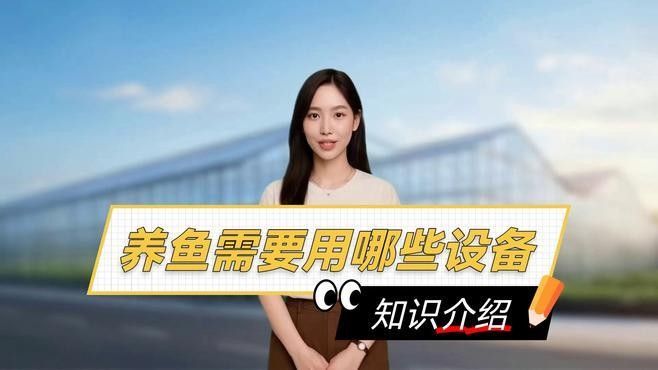 龍魚爛肉病的判斷其實不難，主要看這幾個關鍵癥狀和應對方法，怎樣判斷龍魚是否患有爛肉病？