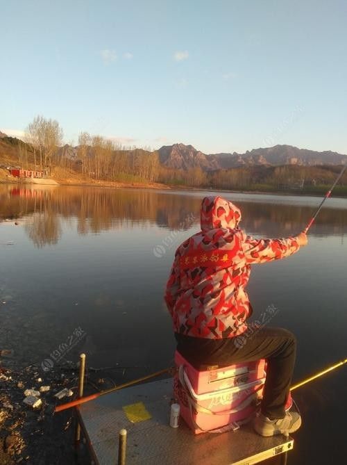 易縣釣魚 易縣釣魚 觀賞魚百科 第3張
