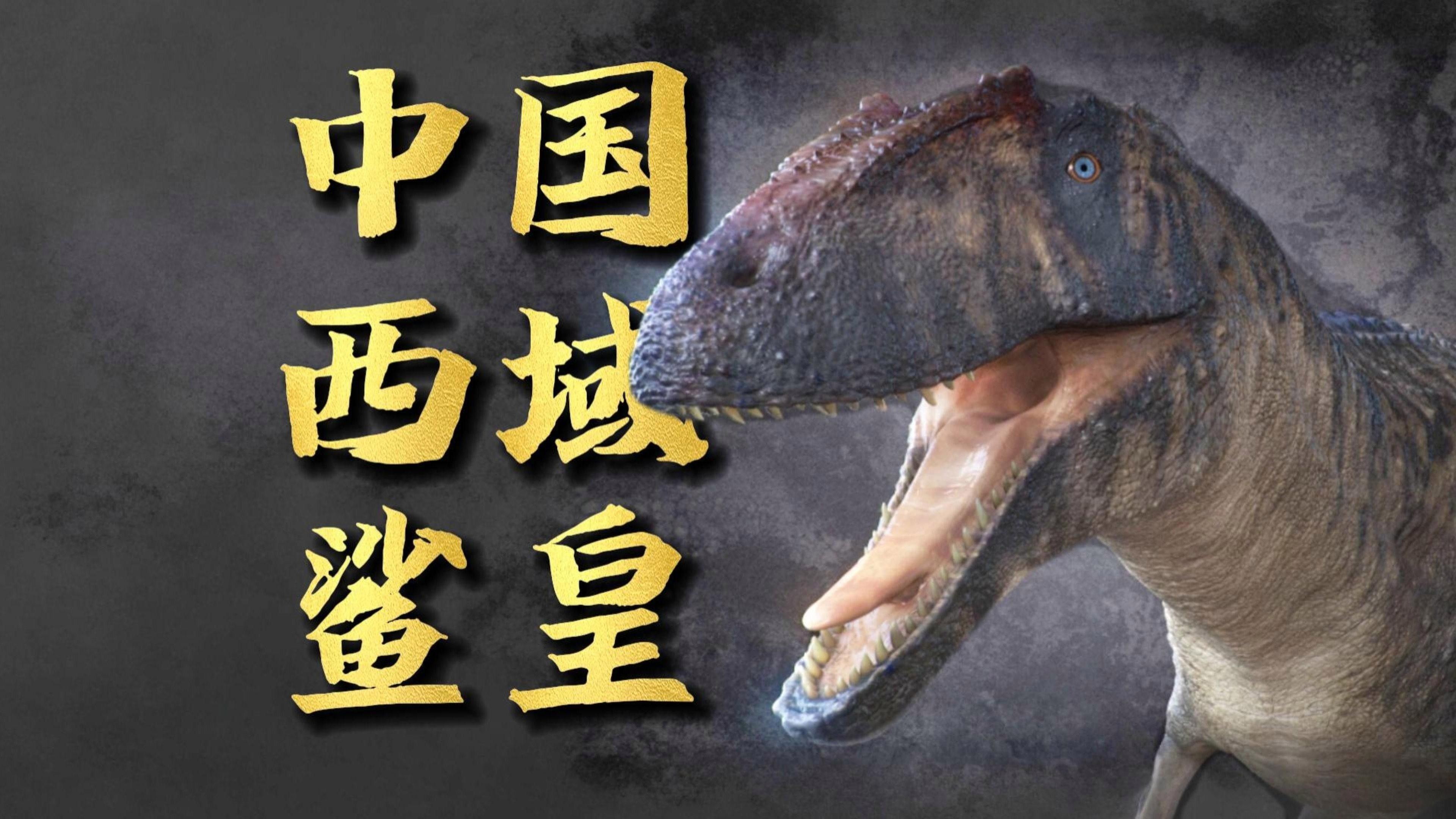 克拉瑪依龍