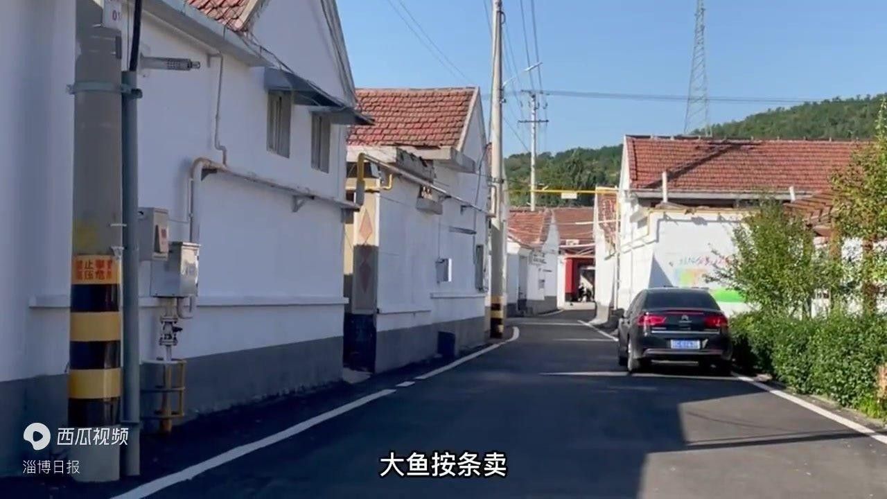 山東淄博金魚養殖基地（山東淄博金魚養殖基地位于中國山東省淄博市周村區王村鎮寧家村）