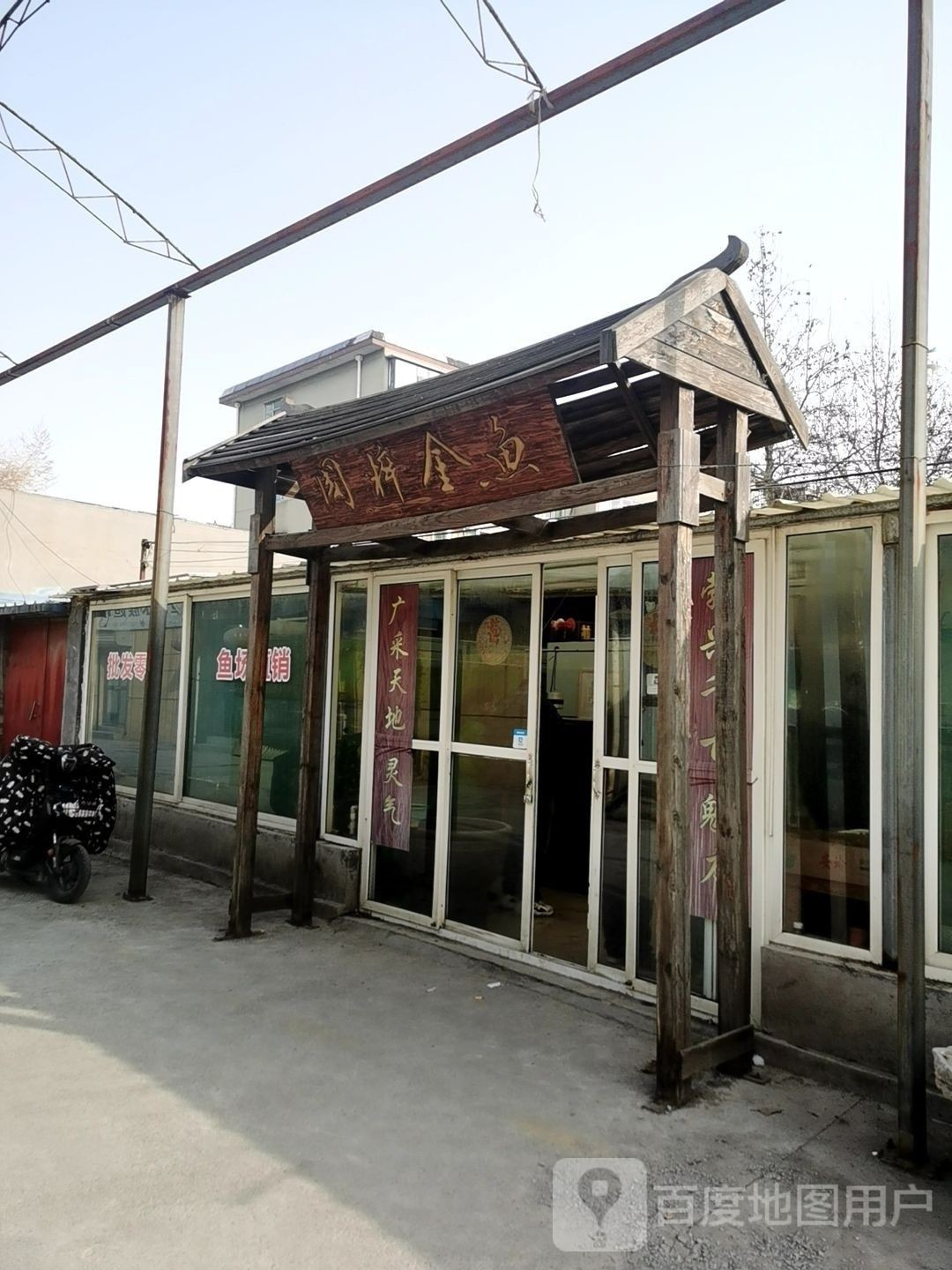 山東淄博金魚養殖基地（山東淄博金魚養殖基地位于中國山東省淄博市周村區王村鎮寧家村）