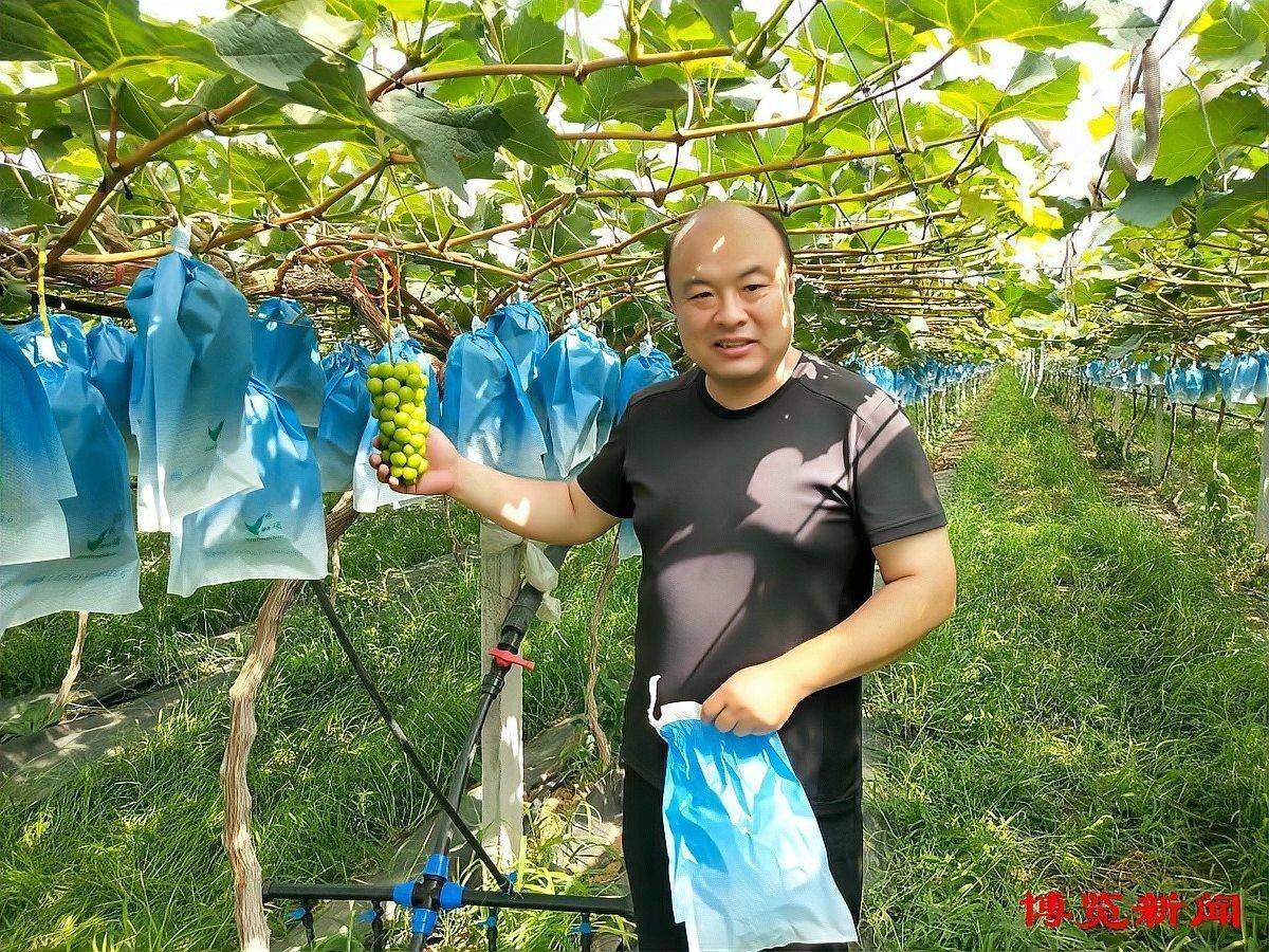 山東淄博金魚養殖基地（山東淄博金魚養殖基地位于中國山東省淄博市周村區王村鎮寧家村）