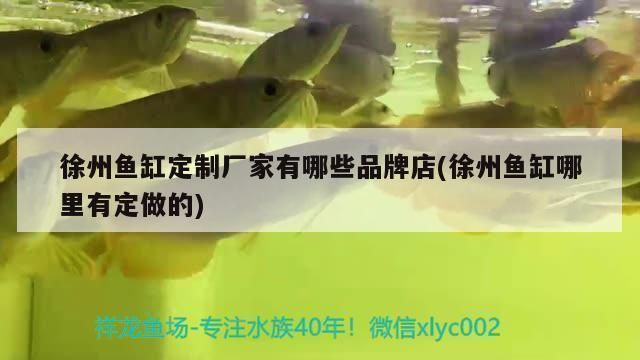 徐州森森魚缸專賣店（徐州森森魚缸專賣店魚缸養護技巧分享森森魚缸專賣店）