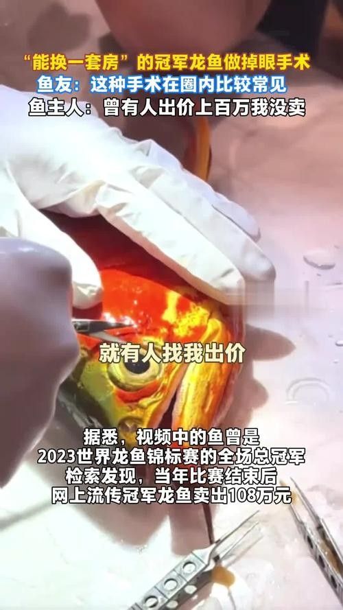 給我一些龍魚掉眼的案例圖片
