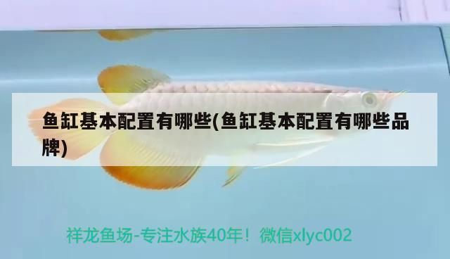 魚缸基本配置有哪些(魚缸基本配置有哪些品牌)（養殖觀賞魚缸基本配置有哪些和魚缸基本配置有哪些）