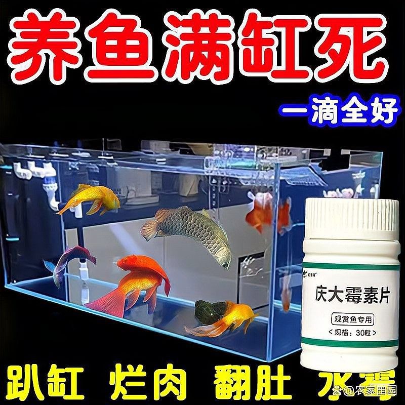 龍魚水腫怎么治療（治療龍魚水腫的幾種方法）