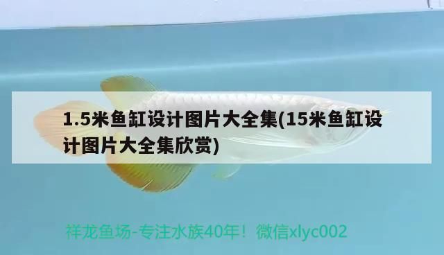 1.5米魚缸設計圖片大全集(15米魚缸設計圖片大全集欣賞)（1.5米魚缸設計圖片大全集）