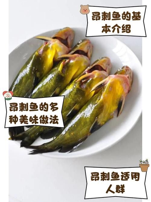 安次魚圖片(如何區(qū)分不同品種的安次魚?) 觀賞魚百科 第2張 安次魚圖片(如何區(qū)分不同品種的安次魚?) 安次魚圖片(如何區(qū)分不同品種的安次魚?) 觀賞魚百科 第2張