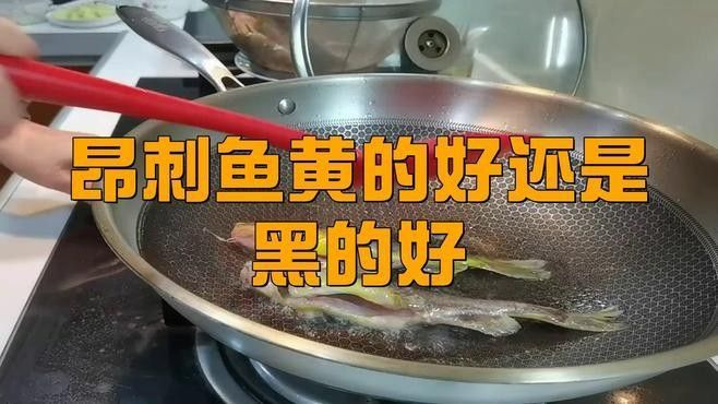 安次魚圖片（如何區(qū)分不同品種的安次魚？） 安次魚圖片（如何區(qū)分不同品種的安次魚？） 觀賞魚百科 第7張