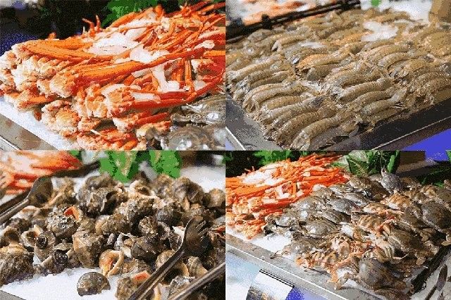 海南哪個水族館龍魚好？祥龍魚場龍魚（廣州祥龍魚場）