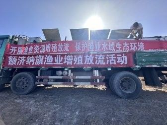 阿拉善盟紅龍魚（紅龍魚的市場價格是多少？）