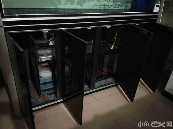 哪個品牌的魚缸性價比最高（2025年魚缸十大品牌推薦）