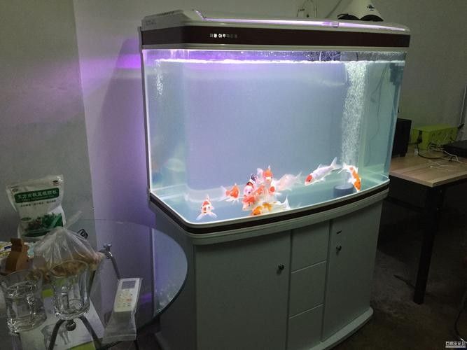 哪個品牌的魚缸性價比最高（2025年魚缸十大品牌推薦）