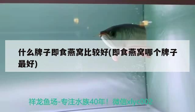 什么牌子即食燕窩比較好(即食燕窩哪個(gè)牌子最好)（2019年什么牌子即食燕窩哪個(gè)牌子即食燕窩比較好）