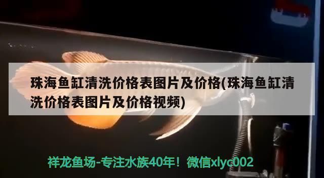 珠海魚缸清洗價格表圖片及價格(珠海魚缸清洗價格表圖片及價格視頻)（珠海魚缸清洗價格表）