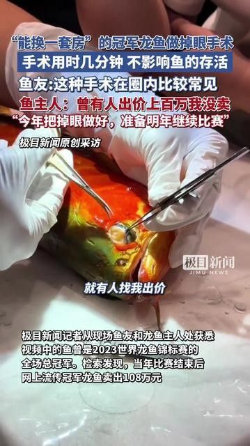 龍魚蒙眼手術的成功率有多高？（魚蒙眼手術的成功率受多種因素影響，龍魚蒙眼手術的成功率及信息）