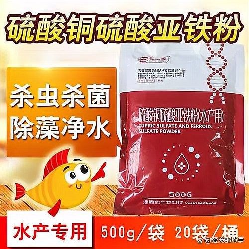 哪些驅蟲藥對龍魚有效（對龍魚有效的驅蟲藥物） 哪些驅蟲藥對龍魚有效（對龍魚有效的驅蟲藥物） 龍魚百科 第3張