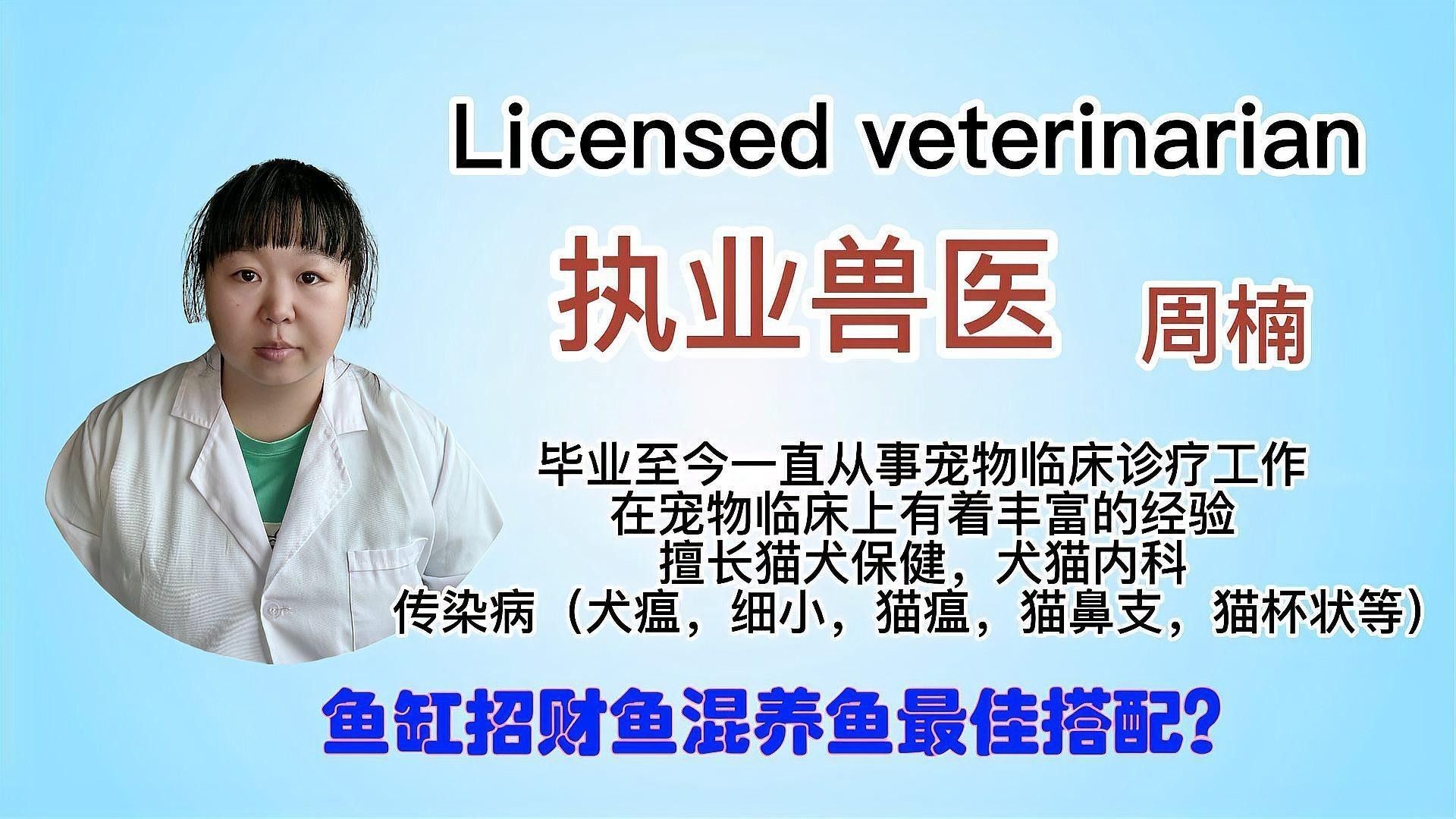 羅漢魚和發財魚混養成功率有多高？（羅漢魚和發財魚混養的成功率受多種因素影響）