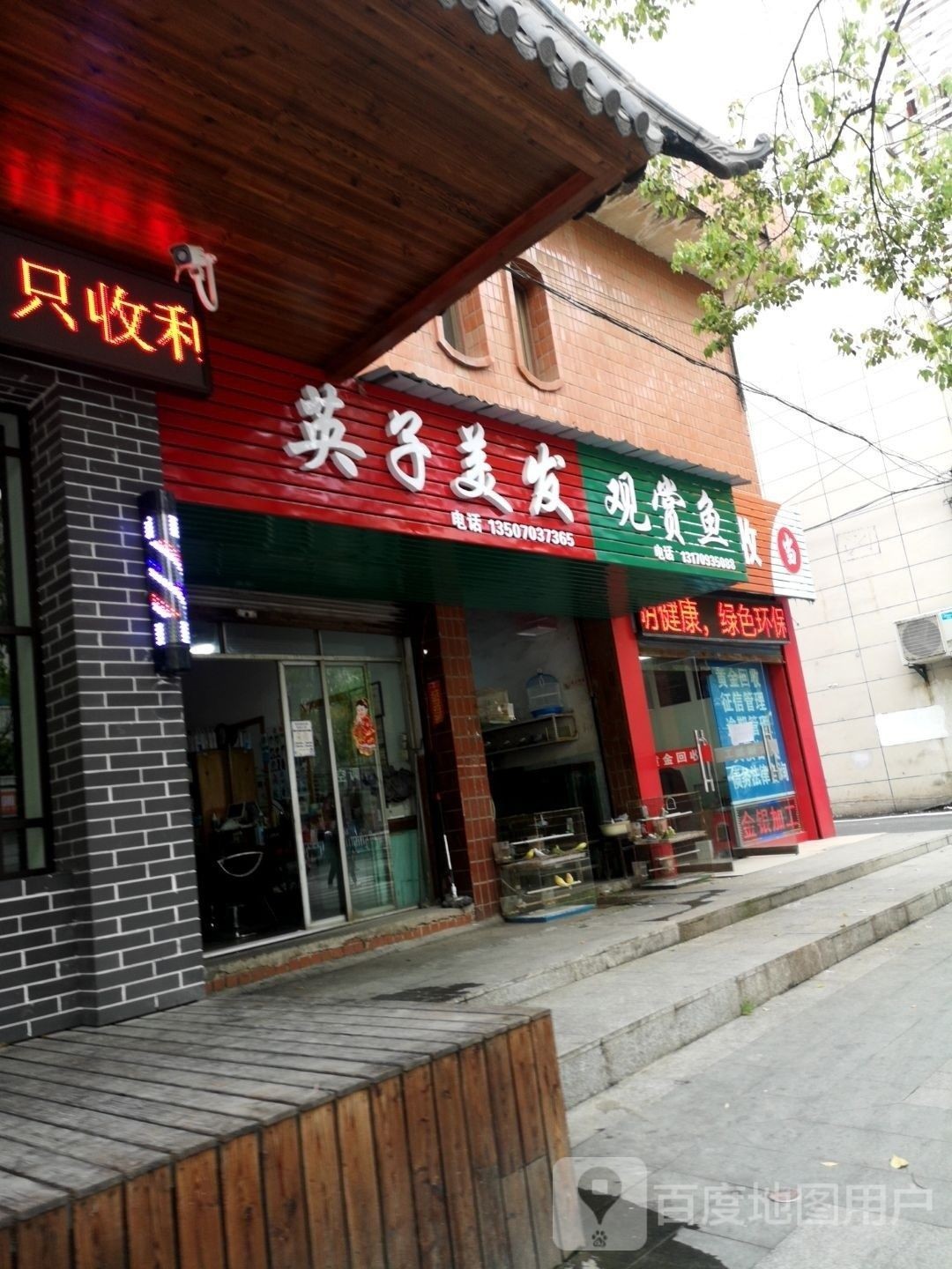 玉山哪個水族館龍魚好？祥龍魚場龍魚（臺灣祥龍魚場的水族館位于臺灣省新竹市北區新竹市北區）