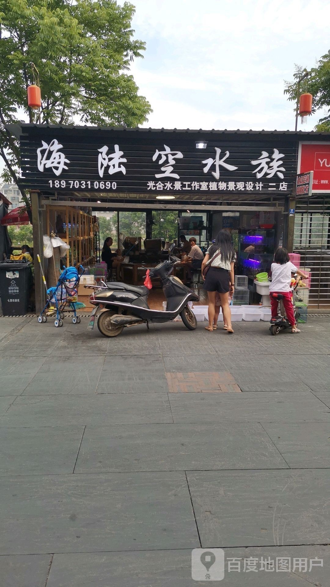 玉山哪個水族館龍魚好？祥龍魚場龍魚（臺灣祥龍魚場的水族館位于臺灣省新竹市北區新竹市北區）