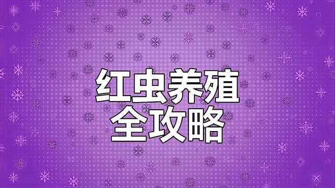 紅蟲需要消毒嗎？（養魚小知識:紅線蟲怎么消毒）