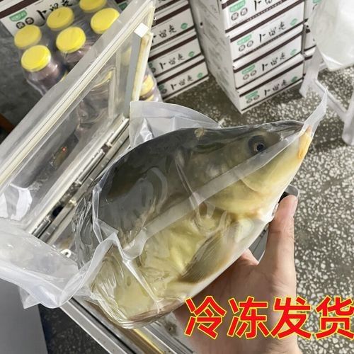 拐子湖金龍魚屬于什么檔次（“拐子湖金龍魚”指金龍魚有哪些高端產品有哪些） 拐子湖金龍魚屬于什么檔次（“拐子湖金龍魚”指金龍魚有哪些高端產品有哪些） 觀賞魚百科 第3張