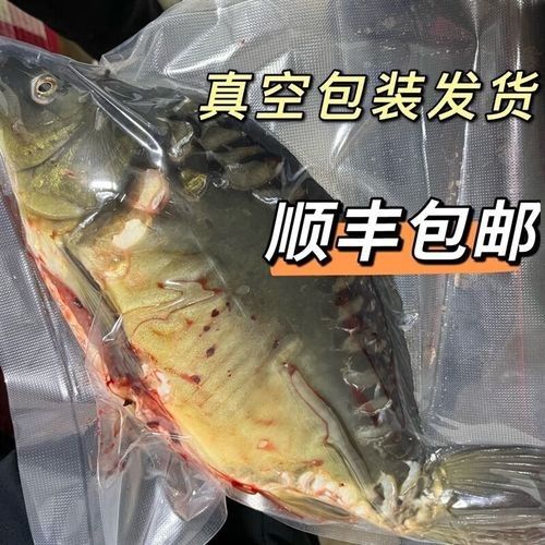 拐子湖金龍魚屬于什么檔次（“拐子湖金龍魚”指金龍魚有哪些高端產品有哪些） 拐子湖金龍魚屬于什么檔次（“拐子湖金龍魚”指金龍魚有哪些高端產品有哪些） 觀賞魚百科 第2張