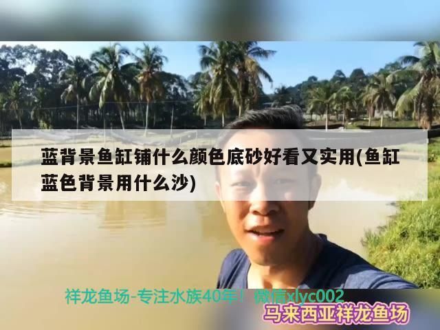 藍背景魚缸鋪什么顏色底砂好看又實用(魚缸藍色背景用什么沙)（藍背景魚缸藍色背景魚缸鋪什么顏色底砂好看又實用的知識）