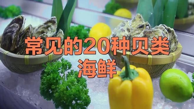 龍虎匯水族館的海鮮品種有哪些（深圳龍虎匯水族館提供的海鮮品種和精致的展示而聞名）
