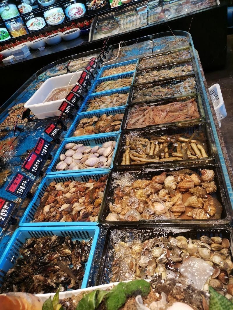 龍虎匯水族館的海鮮品種有哪些（深圳龍虎匯水族館提供的海鮮品種和精致的展示而聞名）