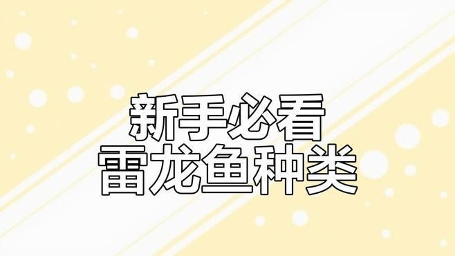 哪種雷龍魚苗最受歡迎（新手養(yǎng)雷龍魚哪些品種好養(yǎng)這幾個品種值得一試）
