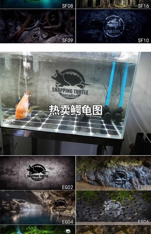 紅龍魚缸背景圖更換步驟（紅龍魚缸背景圖怎么做）