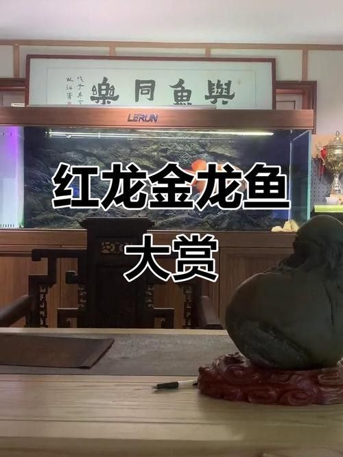 紅龍魚缸背景圖更換步驟（紅龍魚缸背景圖怎么做）