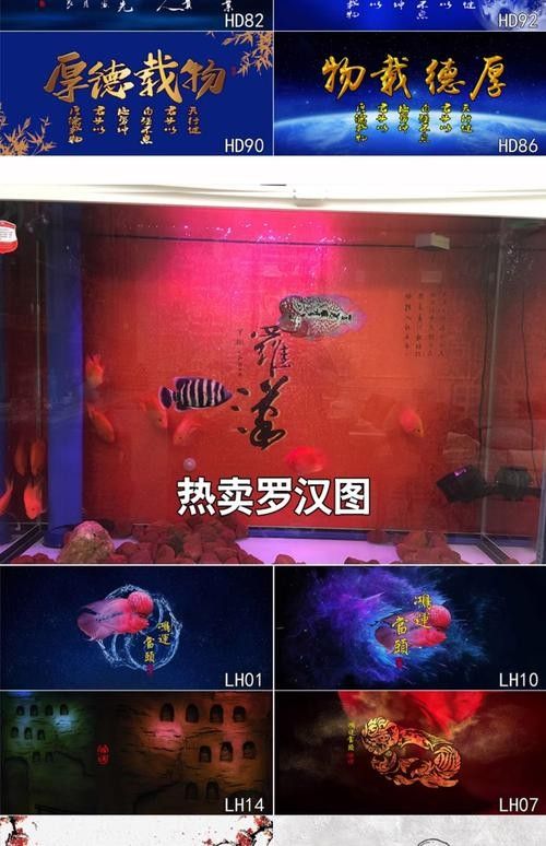 紅龍魚缸背景圖更換步驟（紅龍魚缸背景圖怎么做）