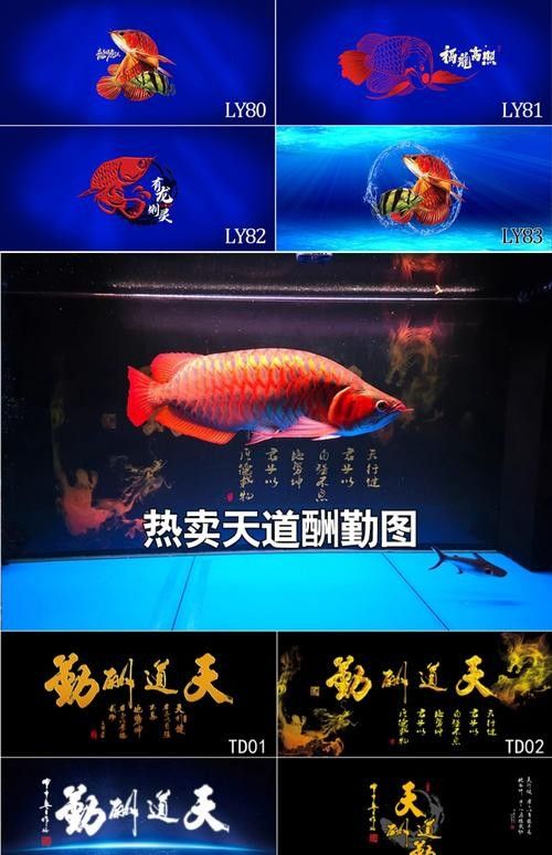 紅龍魚缸背景圖更換步驟（紅龍魚缸背景圖怎么做）