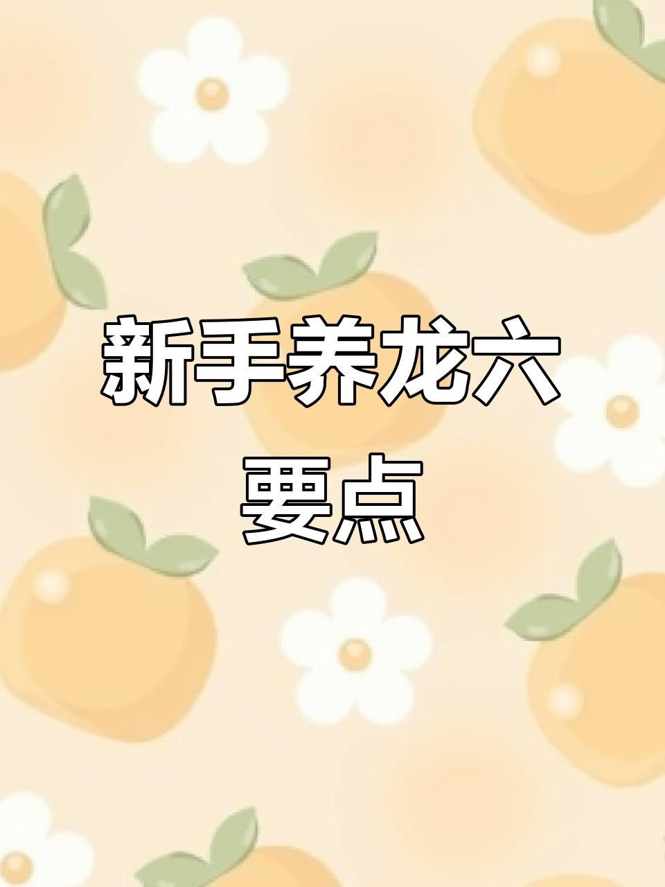 石棉龍魚（養龍魚必看十大避坑指南石棉龍魚養殖技巧與注意事項）