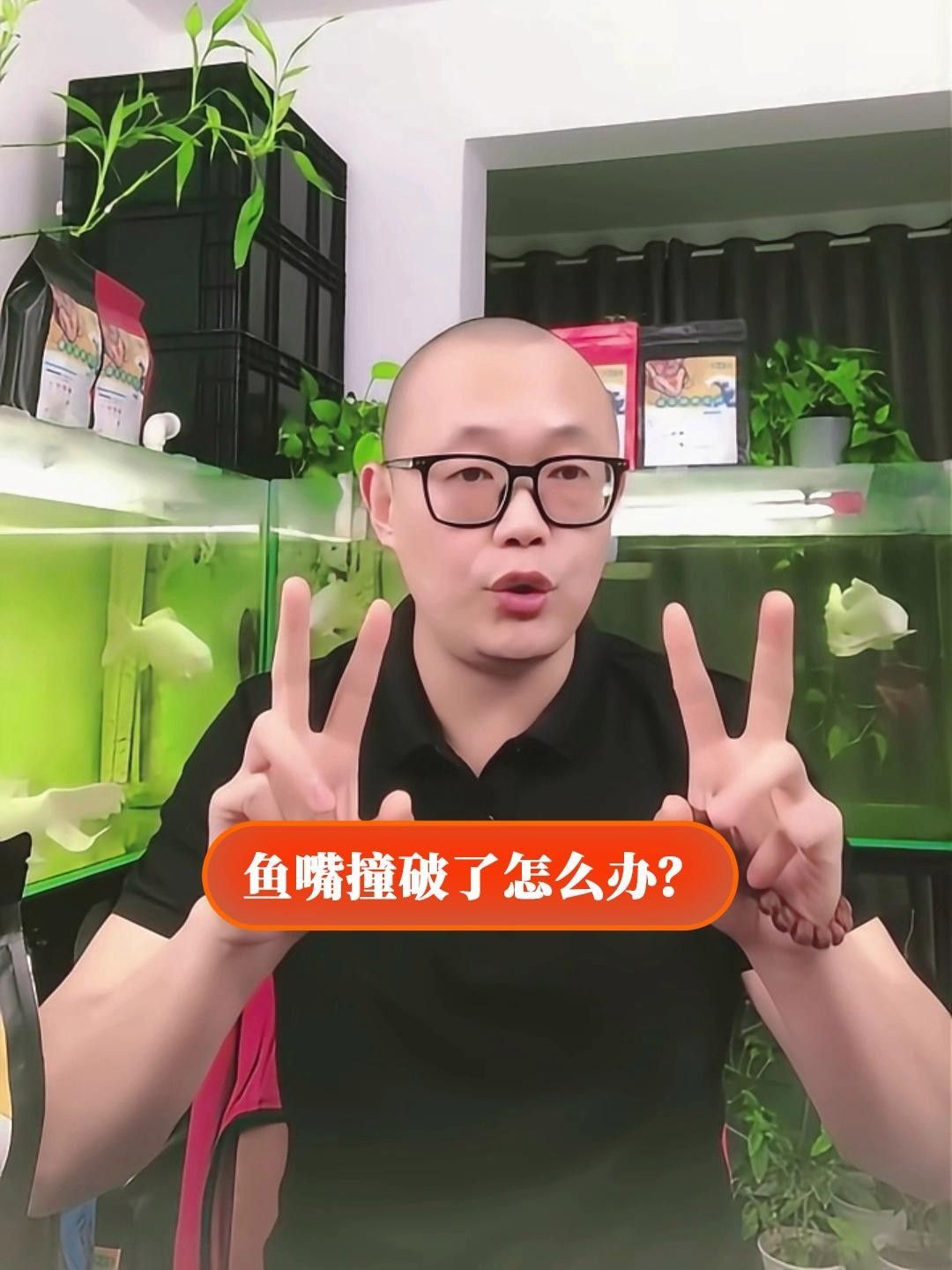 龍魚嘴撞爛最簡單處理方法（龍魚嘴巴爛了是什么原因怎么治療龍魚嘴巴爛了是什么原因） 龍魚嘴撞爛最簡單處理方法（龍魚嘴巴爛了是什么原因怎么治療龍魚嘴巴爛了是什么原因） 觀賞魚百科 第1張