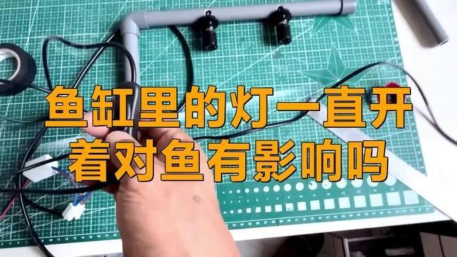 魚喜歡開燈還是關燈（timtian養魚晚上開燈好還是不開燈好）