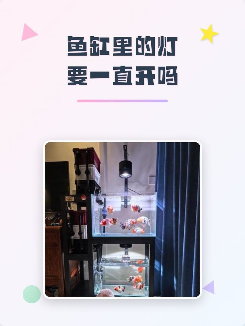 魚喜歡開燈還是關燈（timtian養魚晚上開燈好還是不開燈好）