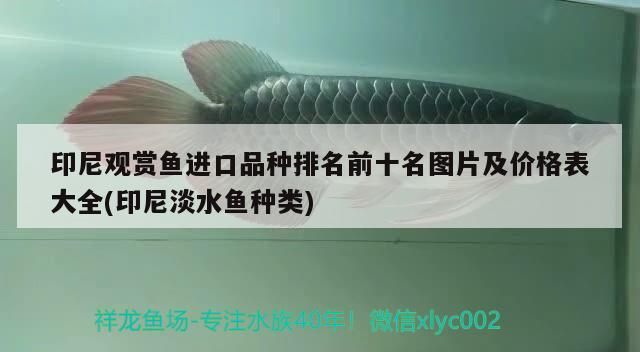 池州魚缸換水服務(wù)中心地址電話號碼：池州市自來水公司24小時服務(wù)熱線（池州魚缸換水中心）
