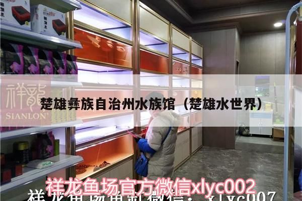 楚雄彝族自治州水族館（楚雄水世界）（云南楚雄彝族自治州水族自治州水族館（楚雄市鹿城東區））