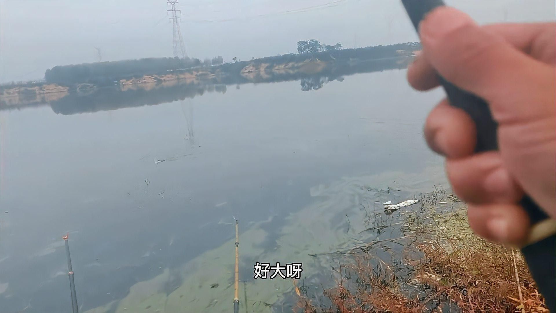 新野白河有什么魚