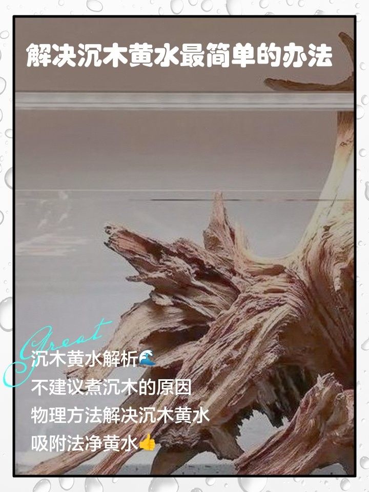 如何處理沉木釋放的黃水（木釋放的黃水怎么處理）