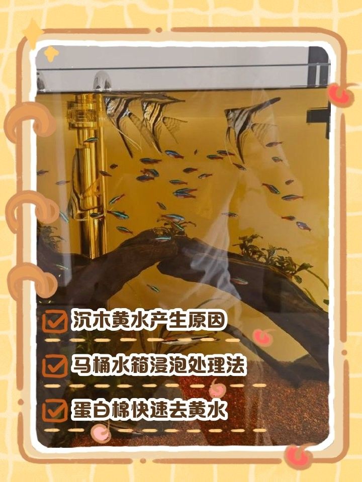 如何處理沉木釋放的黃水（木釋放的黃水怎么處理）