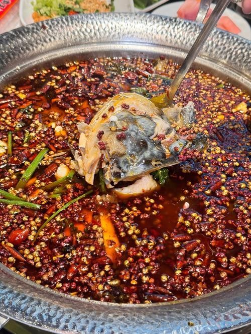哪里可以買到活龍魚（北京十里河花鳥市場探秘擁抱日常的湯圓玖妹妹北京十里河花鳥市場）