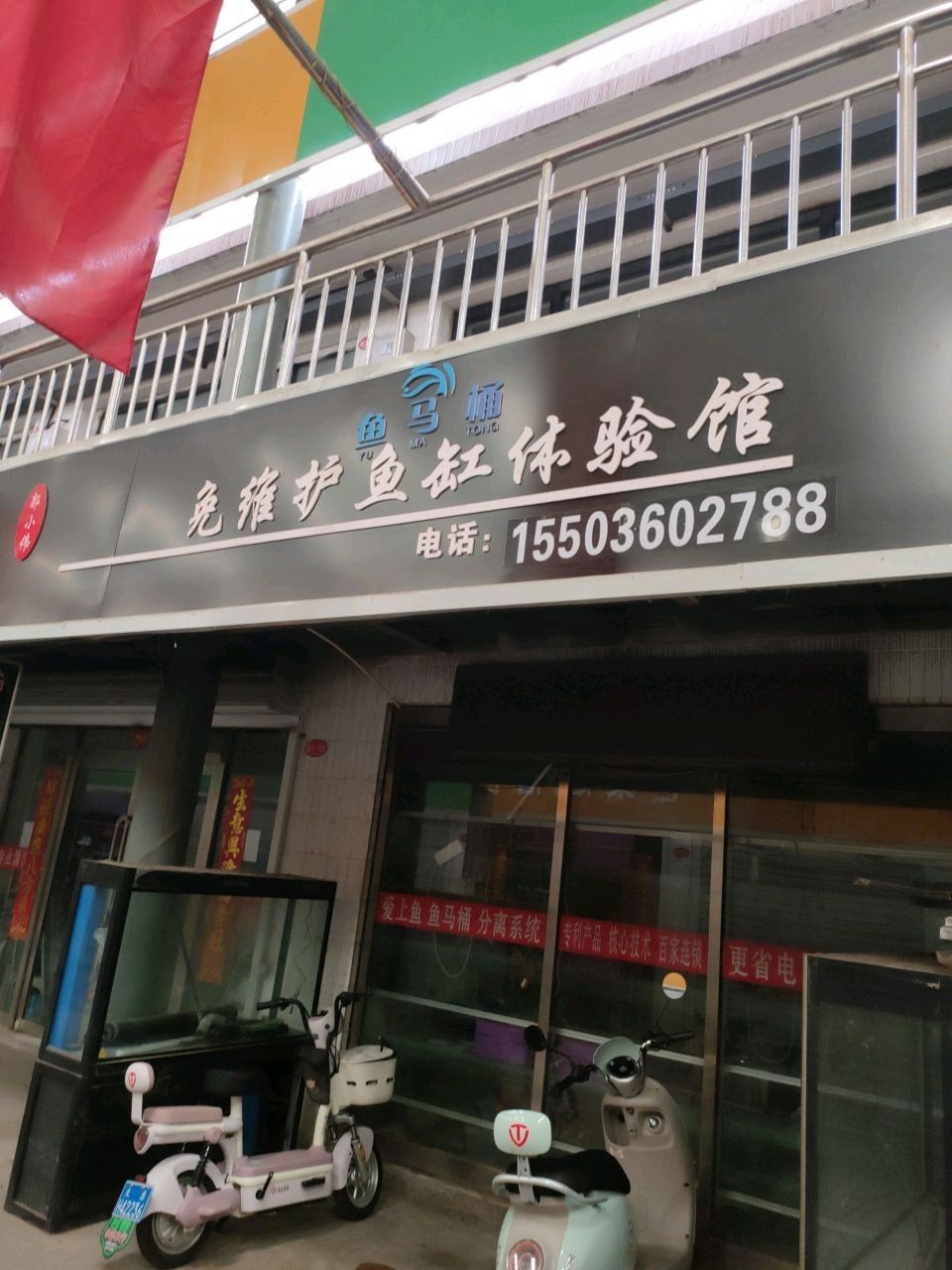太原龍魚生活館的營業時間是（太原市與“龍魚”相關的場所及營業時間及營業時間） 太原龍魚生活館的營業時間是（太原市與“龍魚”相關的場所及營業時間及營業時間） 龍魚百科 第3張