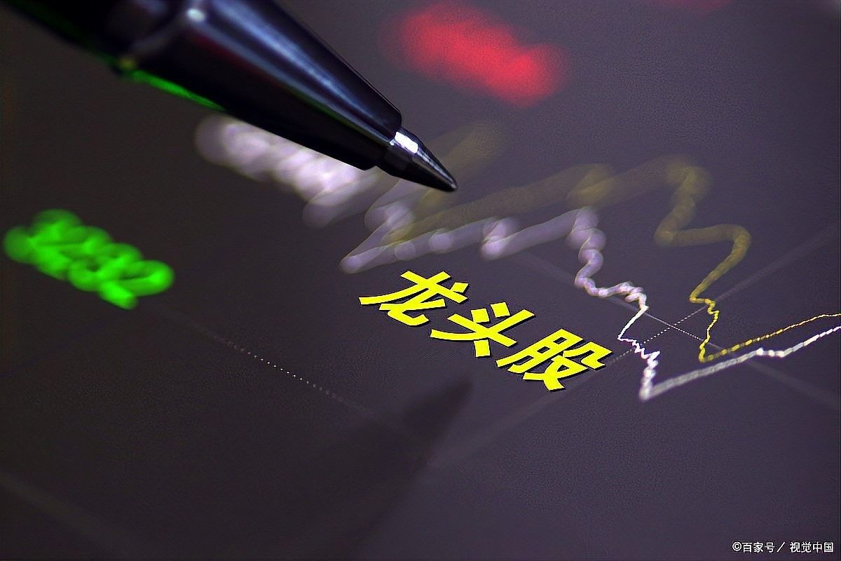 龍頭股調整后還會漲嗎？（龍頭股在經過調整后還會漲嗎一招教你辨別股瘋子龍哥） 龍頭股調整后還會漲嗎？（龍頭股在經過調整后還會漲嗎一招教你辨別股瘋子龍哥） 龍魚百科 第9張