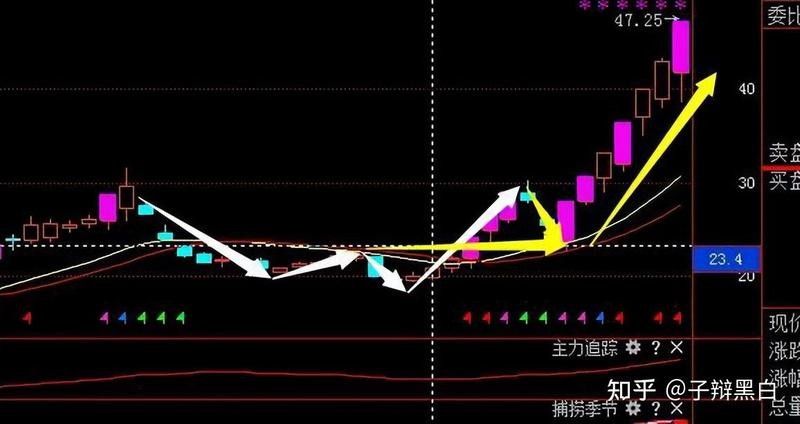 龍頭股調整后還會漲嗎？（龍頭股在經過調整后還會漲嗎一招教你辨別股瘋子龍哥） 龍頭股調整后還會漲嗎？（龍頭股在經過調整后還會漲嗎一招教你辨別股瘋子龍哥） 龍魚百科 第8張