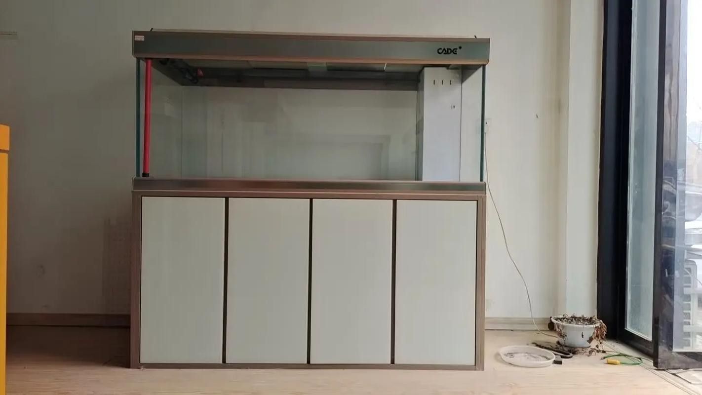 彩蝶龍魚缸有哪些型號？（彩蝶龍魚缸哪個型號最受歡迎彩蝶龍魚缸哪個型號最受歡迎）
